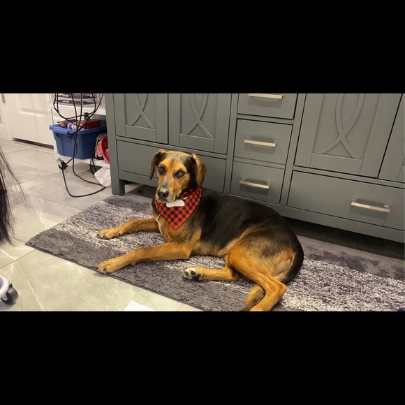 Meet your Posher, Carlee - Picture 1 of 1